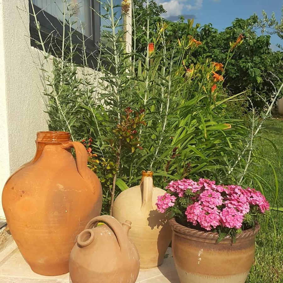Bed and Breakfast Philoxenia Pourrieres Exterior foto